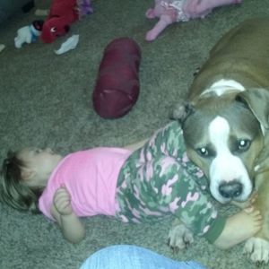 Meet your Posher, Audrey